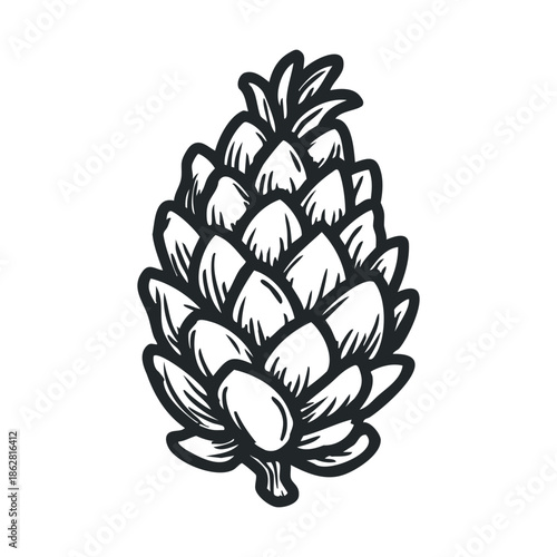 Stylized black and white drawing of a coniferous pine cone, perfect for nature themed logos, forest inspired graphic designs, seasonal holiday decorations, or educational biology projects