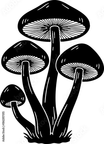 Stylized Black and White Drawing of Botanical Mushrooms