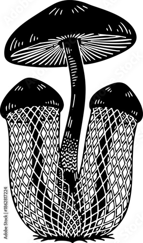 Vintage Engraving Black and White Mushroom Fungi Illustration