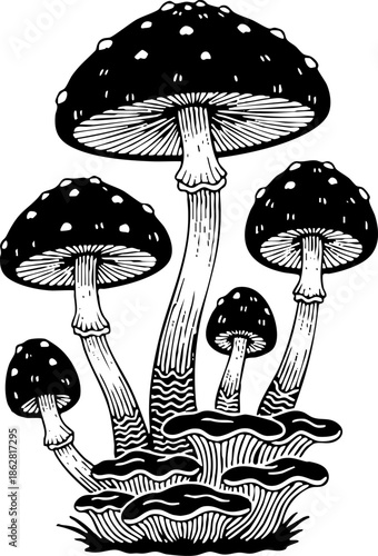 Detailed black and white drawing of a cluster of forest mushrooms.