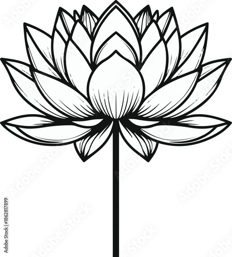 A blooming lotus flower viewed from top, symmetrical petal arrangement, flat vector illustration, clean shape separation, solid flat colors, bold outline, no gradient, no shadow, white background 1
