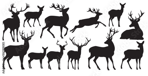 a collection of elegant deer silhouettes showcasing various