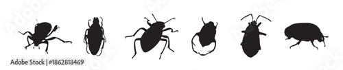 bug silhouette vector 