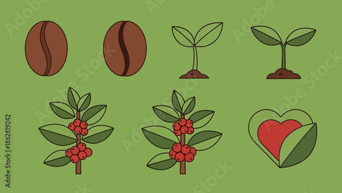 Coffee Beans and Plant Illustrations.