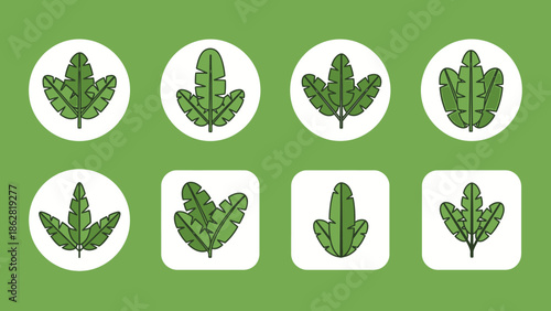 Collection of cannabis leaf shapes.
