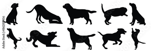 dog silhouette illustration collection black silhouette on