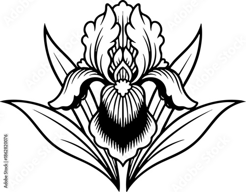 Elegant Black and White Iris Flower Line Art Vector Illustration