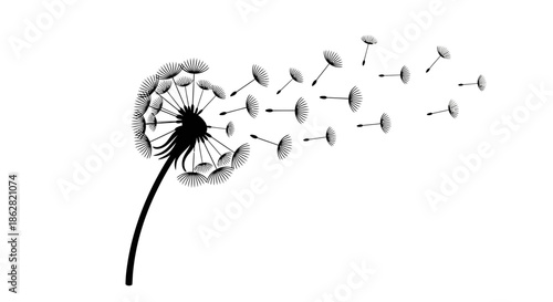 Dandelion blowing seeds silhouette, symbolizing fragility, hope, and the cycle of nature, vector