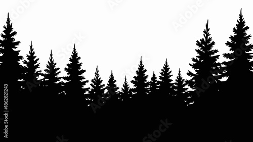 Silhouette of Tall Evergreen Trees Against White Sky