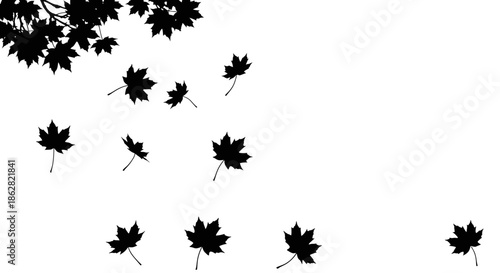 Silhouette of falling maple leaves in autumn, isolated on a white background minimalistic and