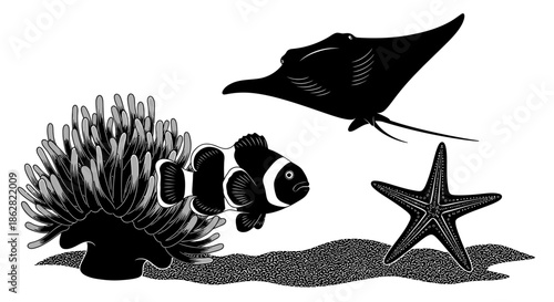 Monochromatic underwater scene showcasing clownfish manta ray anemone and starfish