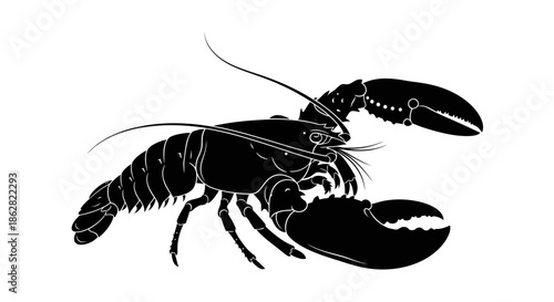 Elegant black lobster illustration with detailed claws and antennae on white background
