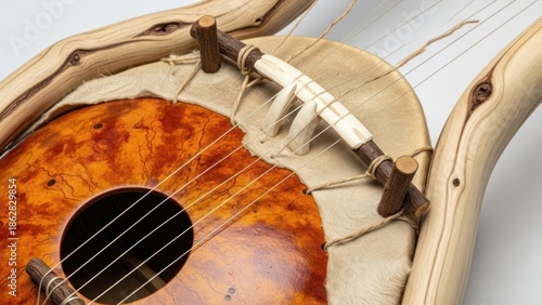 Close-up of a traditional stringed instrument with a wooden body and bridge against a plain white