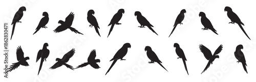 Set of Black silhouette of multiple macaw parrots in various poses, isolated on white background. concept of tropical bird, wildlife, nature, aviary, exotic pet, graphic art, icon design