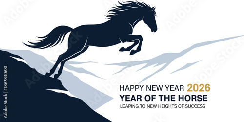 Metal Balloon Whisk for Baking and Cooking Isolated on White