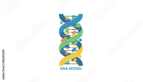 Colorful dna model double helix isolated on white background modern biotechnology concept