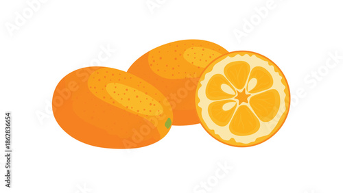 A vibrant vector illustration of two whole kumquats and one half-cut kumquat, showing the juicy interior, isolated on a white background.