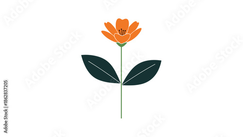 A simple and elegant minimalist illustration of a single orange flower with a long stem and two dark green leaves on a white background.