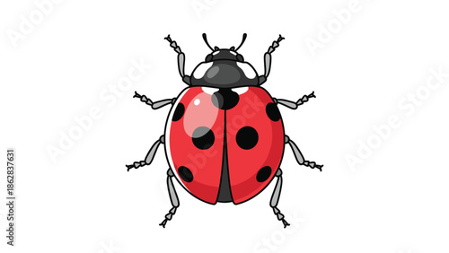 A detailed top-down cartoon illustration of a cute red ladybug with black spots and six legs, isolated on a clean white background.