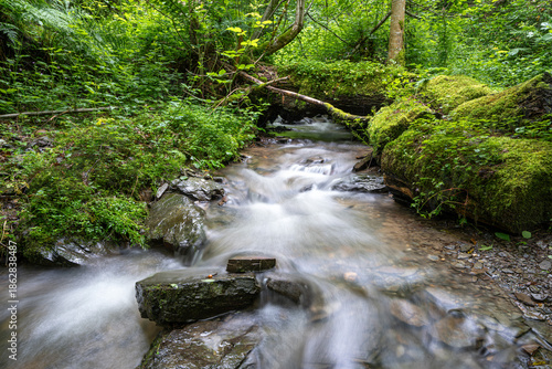 Creek, Eifel, Germany