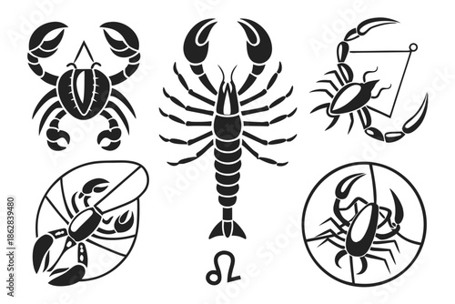 set of vector insects
