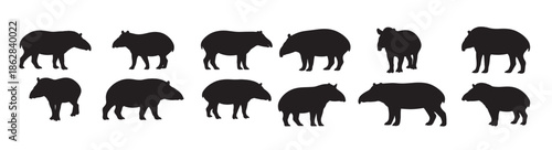 tapir silhouette white background