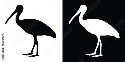 Ibis bird silhouette vector, Spoonbill bird black silhouette