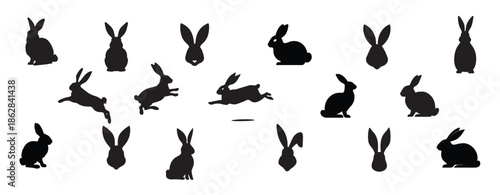 Set of rabbit silhouettes. Big Collection