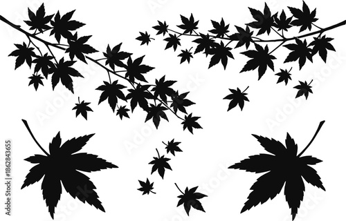 Schilderij op canvas Japanese maple leaves silhouette branches and falling foliage isolated on white background, black autumn tree vector illustration for seasonal nature and oriental designs