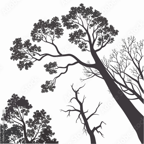 Black silhouettes of tree crowns against white background