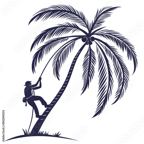 Climber on single tall palm tree reaching with rope