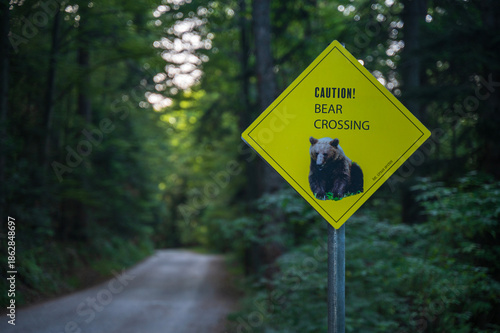 Bear warning in the woods signage or camping danger sign