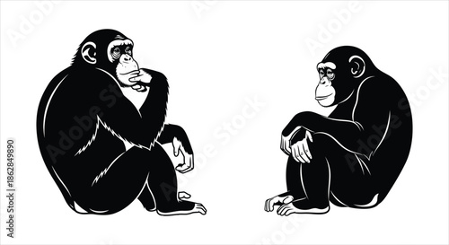 Two thoughtful chimpanzees engaged in deep contemplation and communication