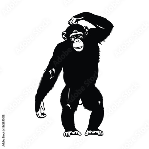 Chimpanzee illustration reflecting contemplation and thought process