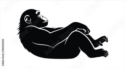 Graphic silhouette of a relaxed chimpanzee resting on its back