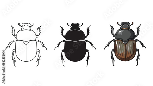Set of three dung beetle illustrations outline, silhouette and colored drawing
