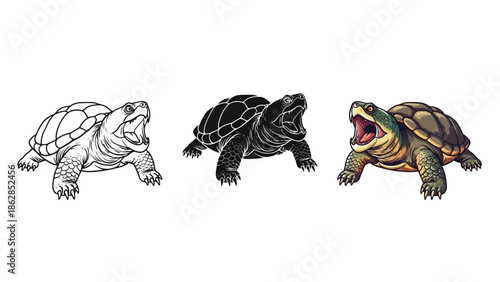 Three styles of snapping turtle illustration line art, silhouette and full color