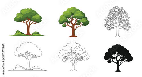A collection of stylized tree illustrations in various forms, including vibrant colors, detailed outlines, and solid silhouettes.