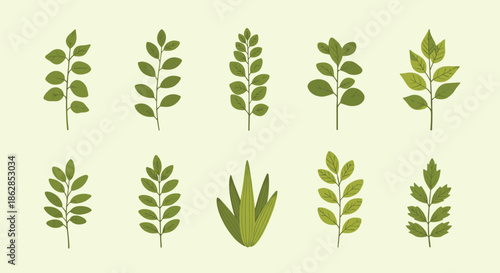 Set of ten natural green leaf and plant illustrations, depicting different botanical shapes and arrangements on a pale green background.