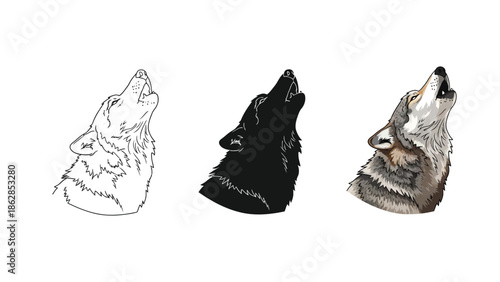 Set of three howling wolf head illustrations sketch, silhouette and realistic color drawing