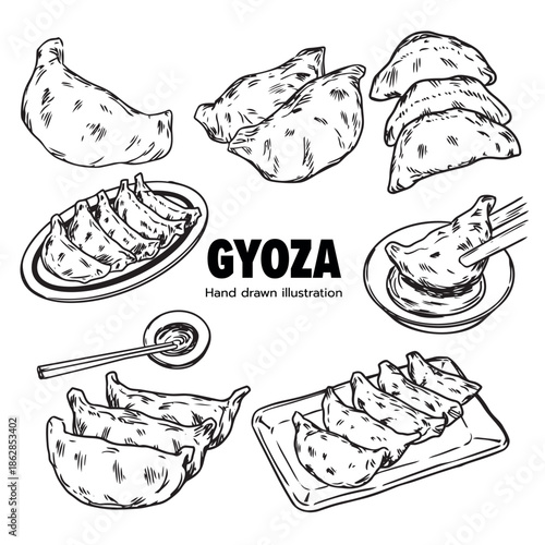 Set of hand drawn streamed and deep fried Gyoza outline drawing illustration