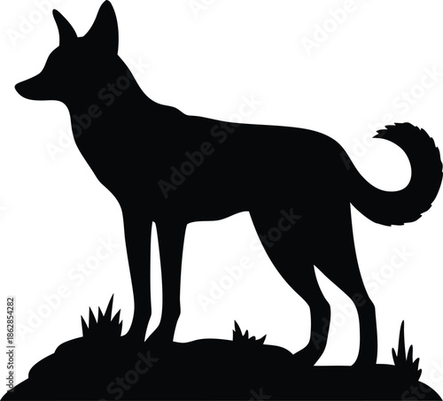 Confident domestic dog standing profile silhouette with a distinctive curled tail on grassy ground