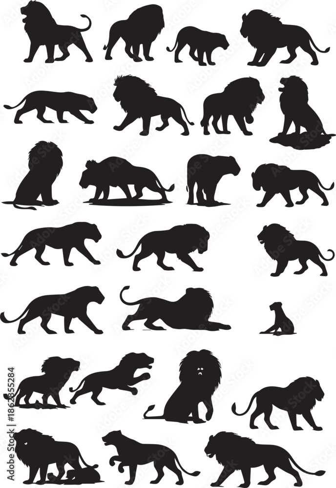 Fototapeta premium Vector illustration of a wild animal lion.
