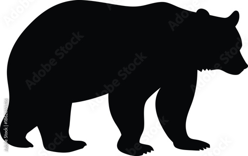 Dynamic black bear silhouette walking forward with a determined stride in a natural posture