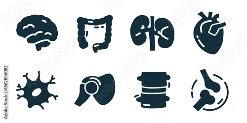 Anatomy and organs excellent icon collection. Brain, intestine, kidneys, heart, neuron, ear, spine, joint