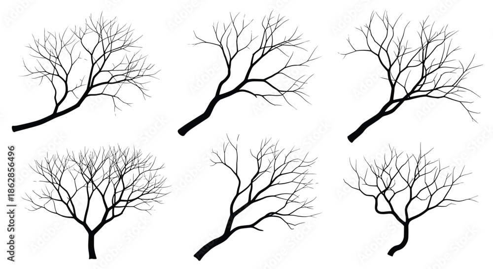 Obraz premium Collection of various leafless tree branch silhouettes in black, isolated on a white background for nature design.