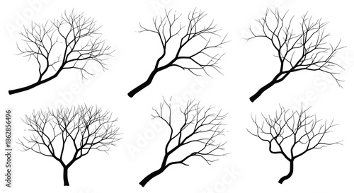 Collection of various leafless tree branch silhouettes in black, isolated on a white background for nature design.