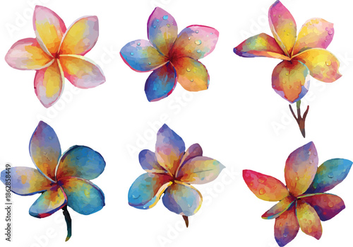 set of colorful flower isolated
