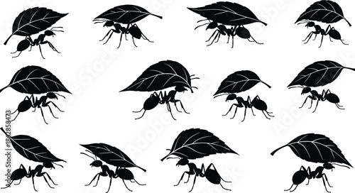 Ant silhouettes, leafcutter ants illustration, carrying leaves pattern, insect behavior art, colony teamwork, nature concept, educational design, decorative scene