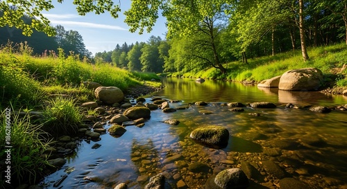 Serene River Flowing Through Lush Green Forest Landscape.